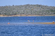 DSC_7041_tn