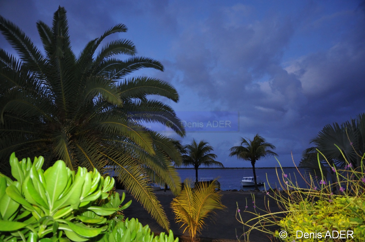 DSC_2084_tn.jpg