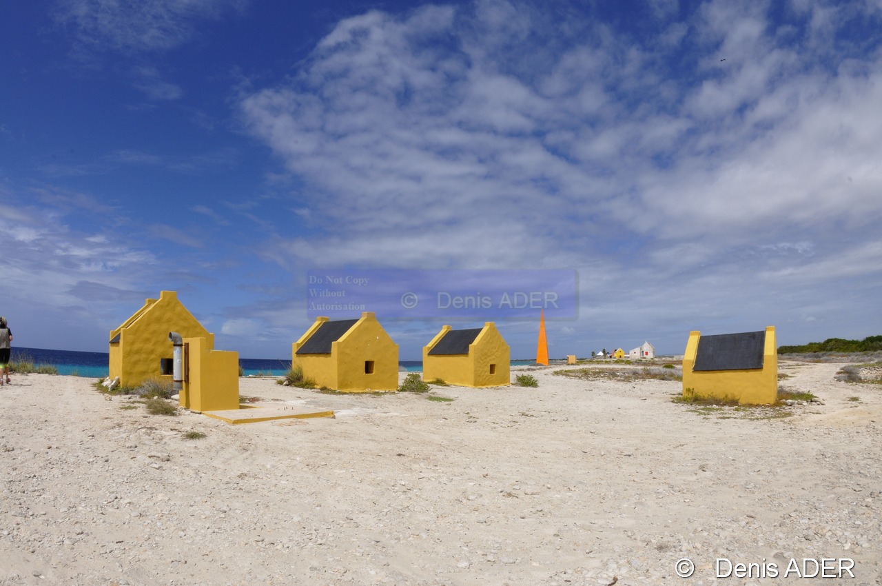 DSC_2297_tn.jpg