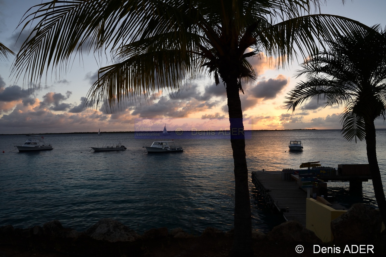 DSC_6365_tn.jpg