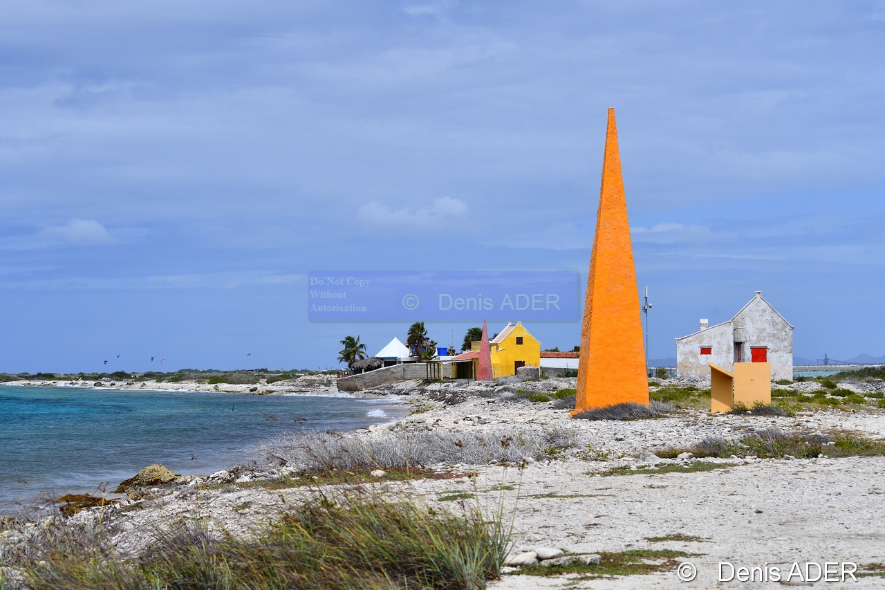 DSC_8051_00151_tn.jpg