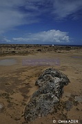 DSC_2225_tn