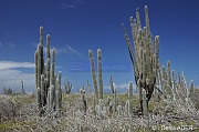 DSC_2228_tn