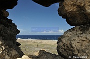 DSC_2236_tn