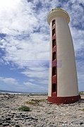 DSC_2306_tn