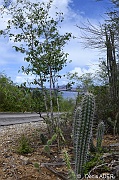 DSC_7038_tn