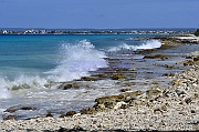 DSC_7858_00026_tn