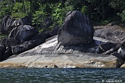 DSC_5409_tn