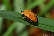 DSC_7648_tn