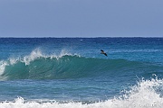 DSC_8930_tn