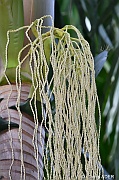DSC_9220_01_tn