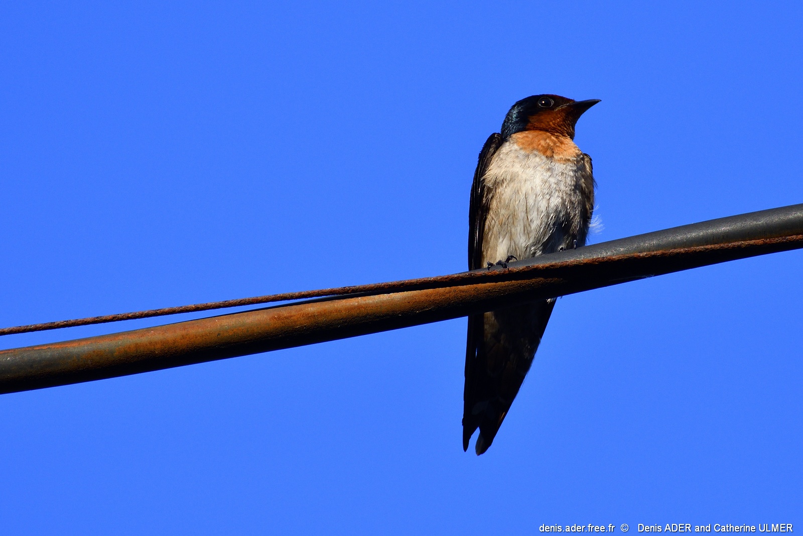 DSC_4760_tn.jpg