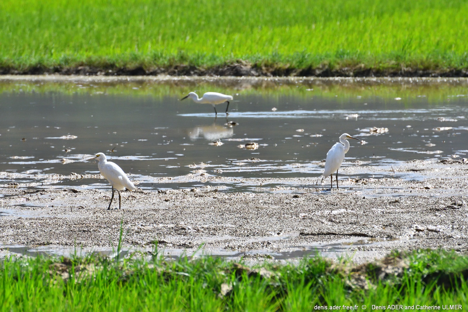 DSC_5028_tn.jpg