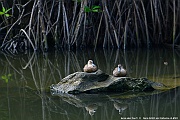 DSC_4391_tn