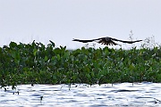 DSC_4651_tn