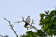 DSC_4715_tn