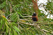DSC_5169_tn