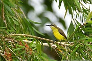 DSC_5173_tn