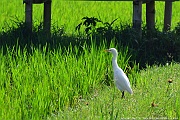 DSC_5484_tn