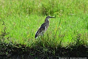 DSC_5489_tn