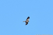 DSC_5647_tn