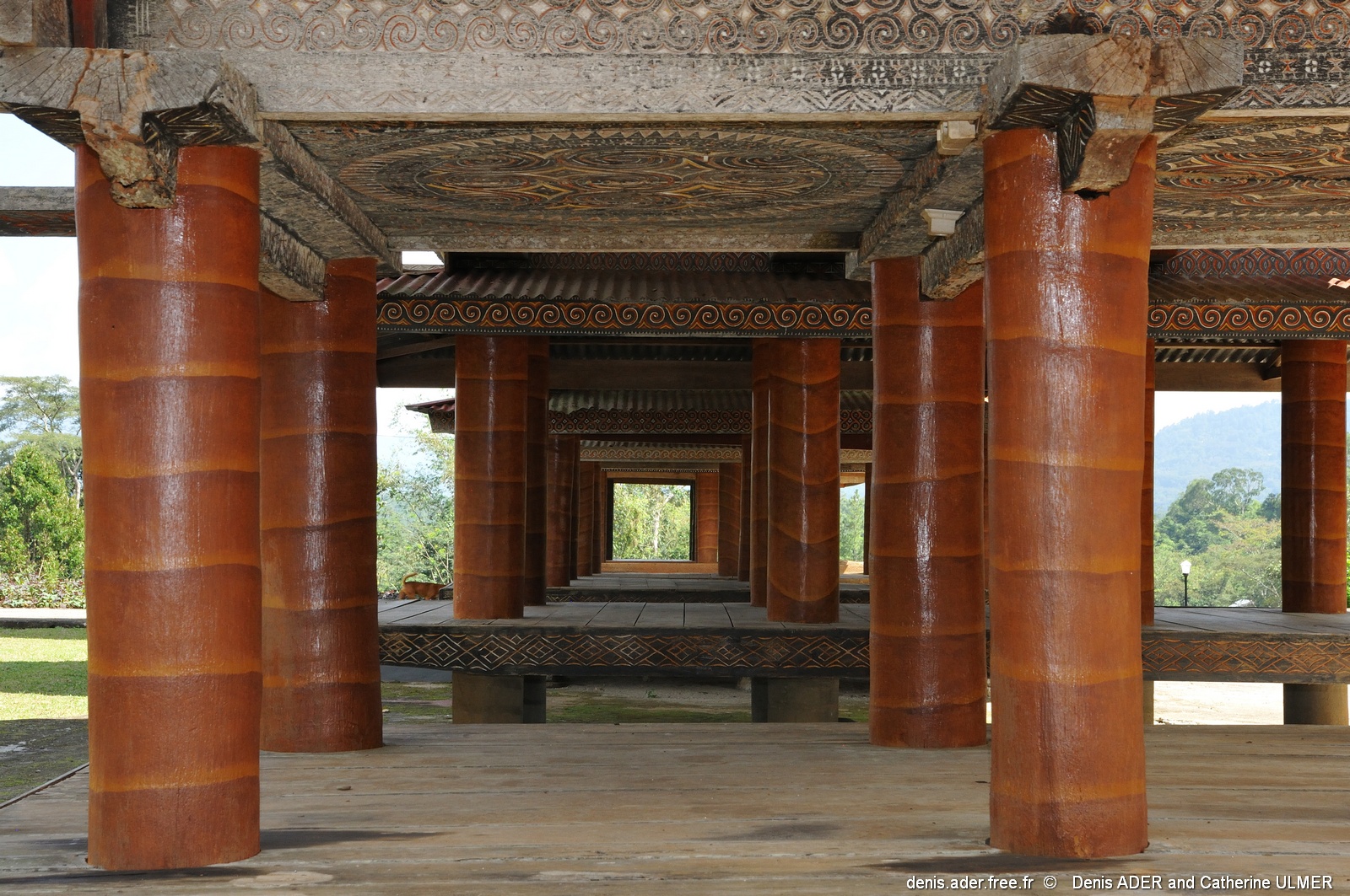 DSC_4087_tn.jpg