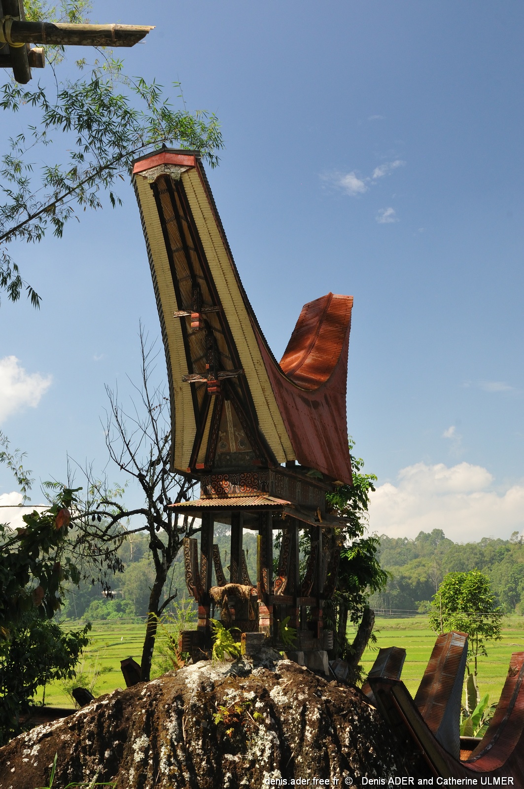DSC_4610_tn.jpg