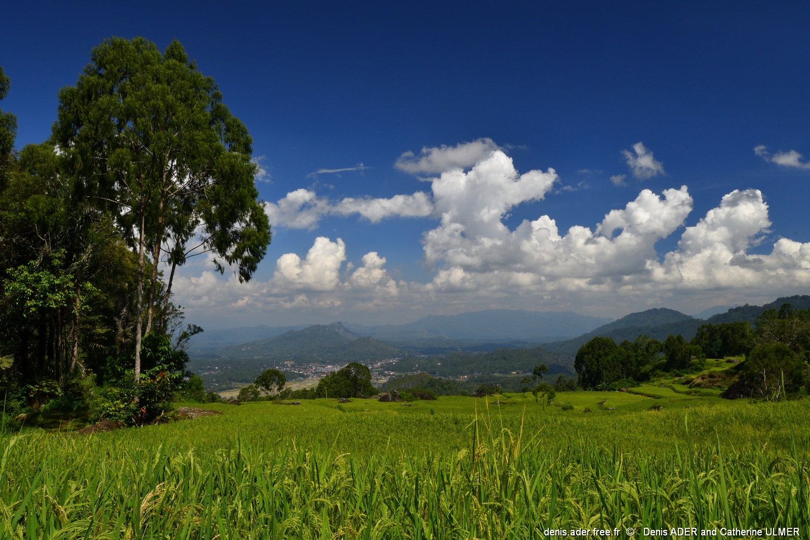 DSC_5575_tn.jpg