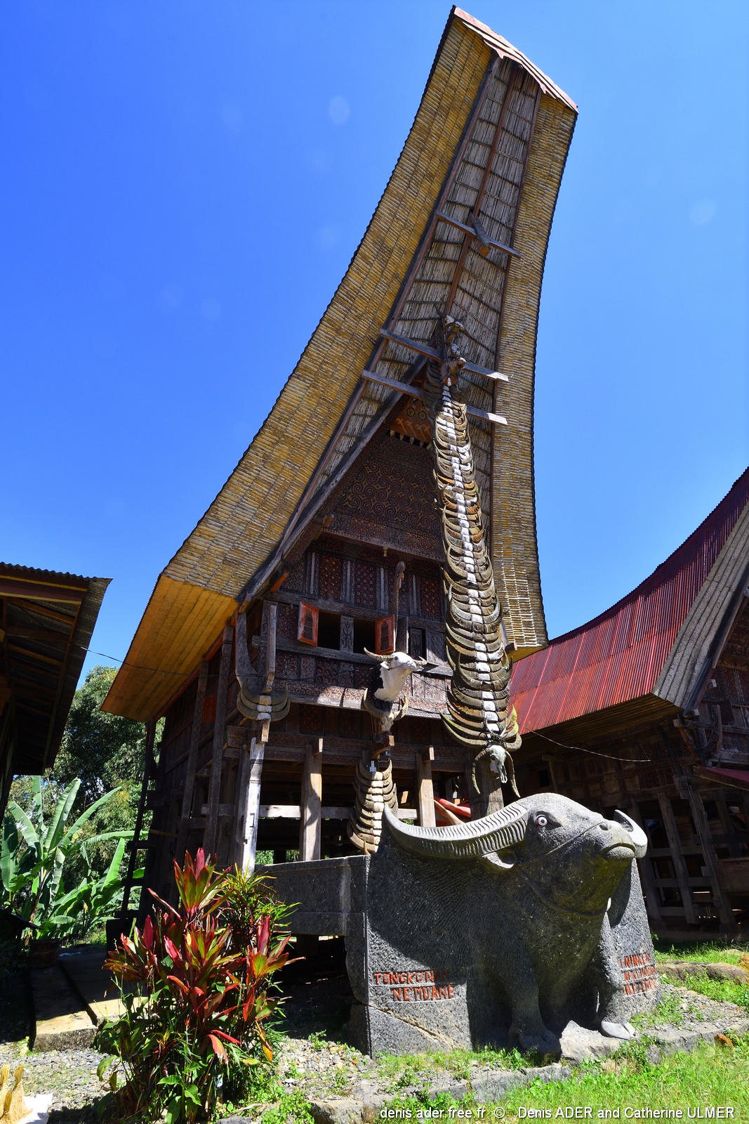 DSC_5591_tn.jpg