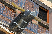 DSC_4122_tn