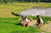 DSC_4167_tn