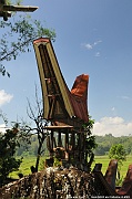 DSC_4610_tn