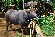 DSC_4911_tn