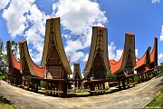 DSC_4935_tn