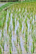 DSC_5002_tn