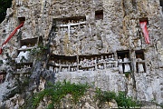 DSC_5010_tn