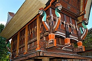 DSC_5101_tn