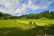 DSC_5377_tn