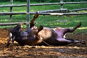 DSC_5405_tn