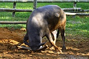 DSC_5407_tn