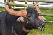DSC_5412_tn