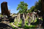 DSC_5541_tn