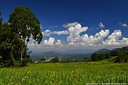 DSC_5575_tn