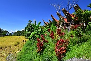 DSC_5600_tn