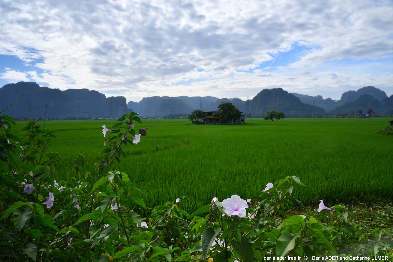 DSC_4371_tn.jpg