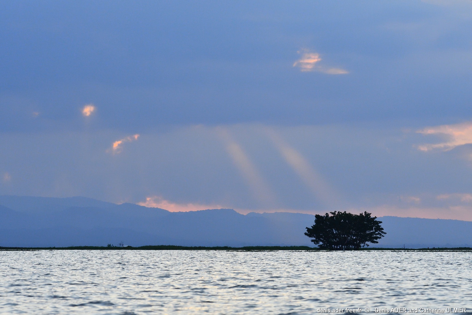 DSC_4705_tn.jpg
