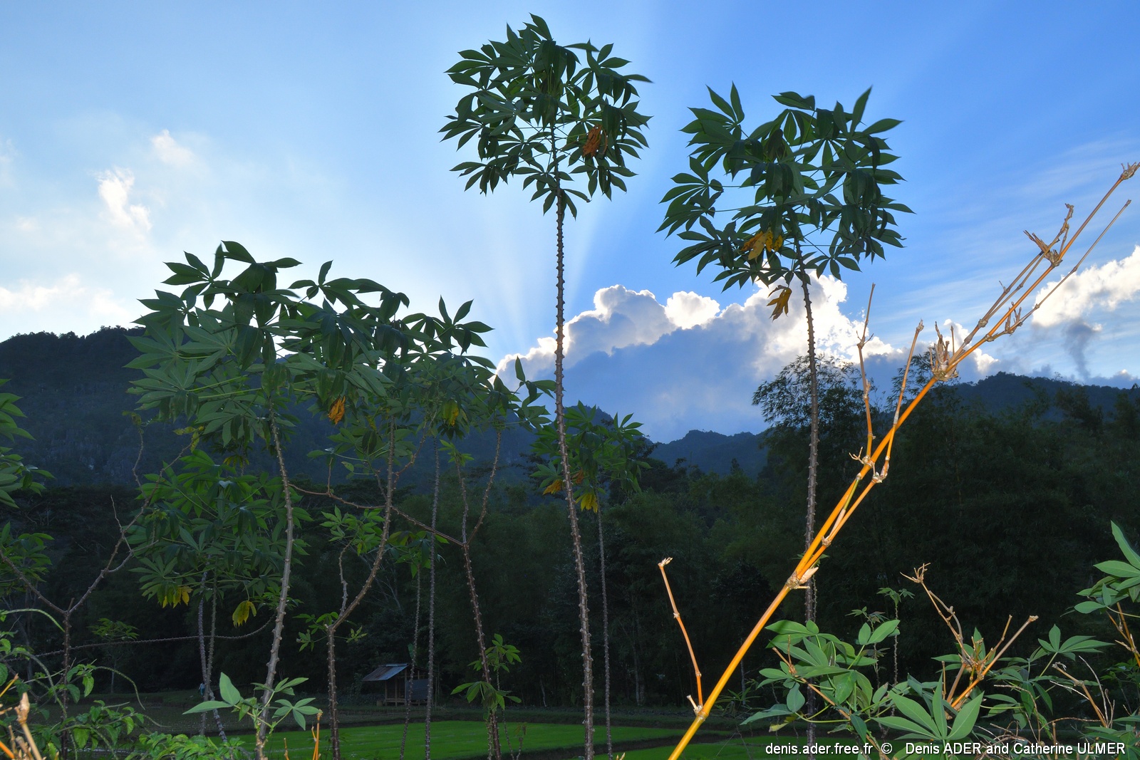 DSC_5113_tn.jpg