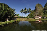 DSC_3684_tn