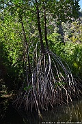 DSC_4477_tn
