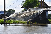DSC_4541_tn